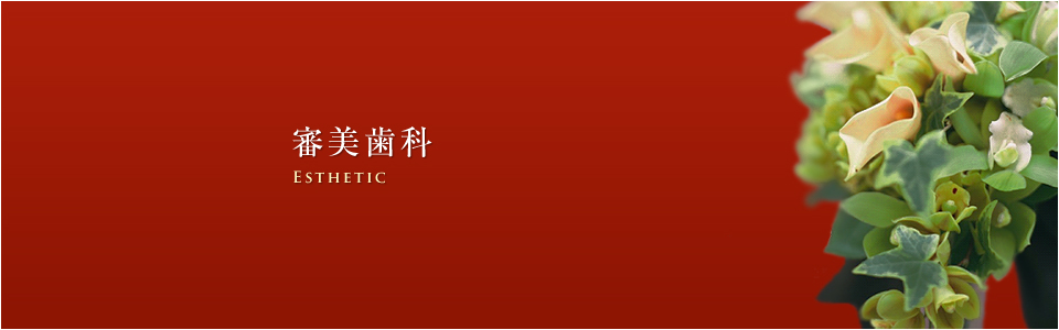 審美歯科
