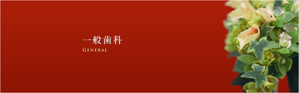 一般歯科