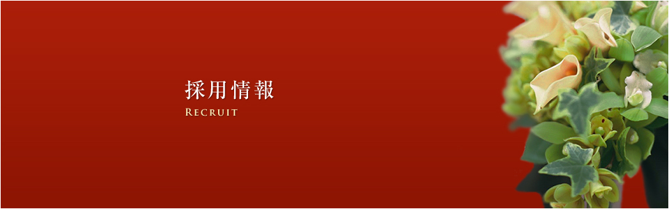 採用情報